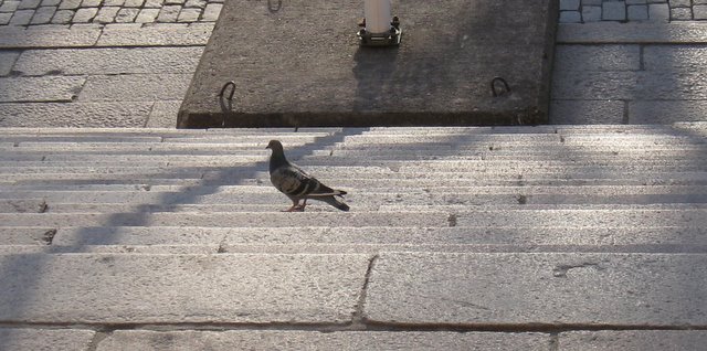 [IMG_2082-704669.JPG]