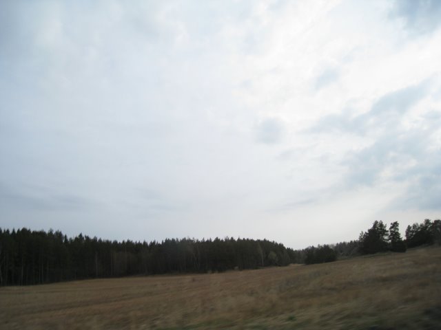 [IMG_2197-783716.JPG]