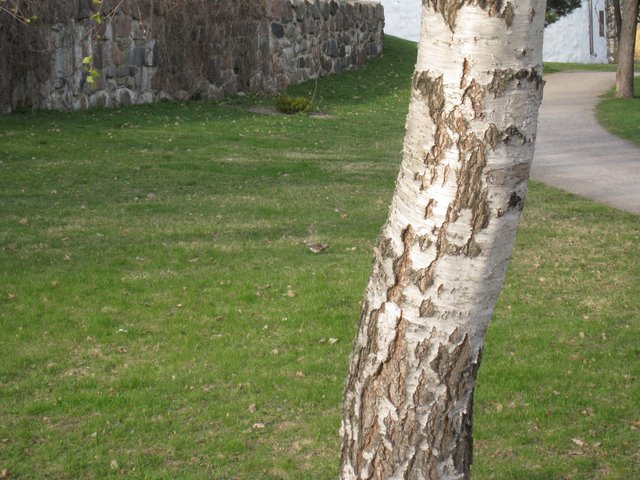 [IMG_2256-728136.JPG]