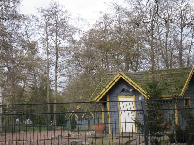 [IMG_2294-757866.JPG]