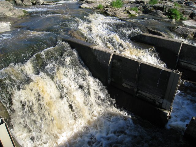 [IMG_2502-792409.JPG]