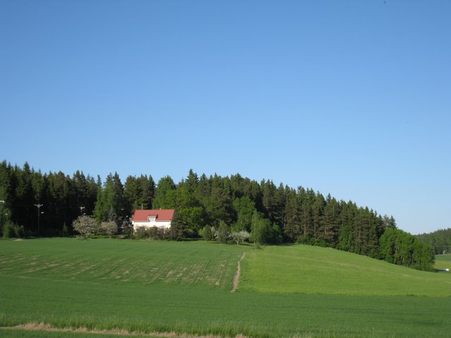 [IMG_2525-774993.JPG]