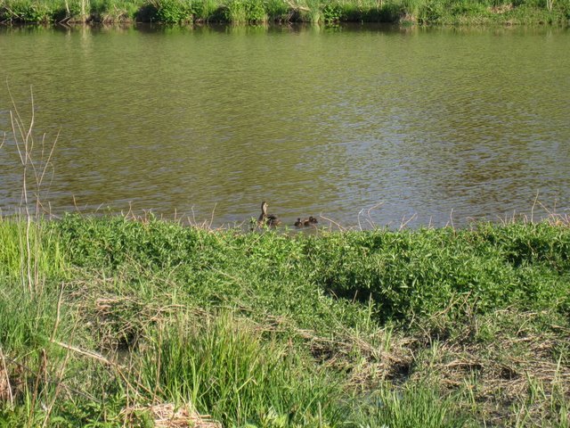 [IMG_2535-720078.JPG]