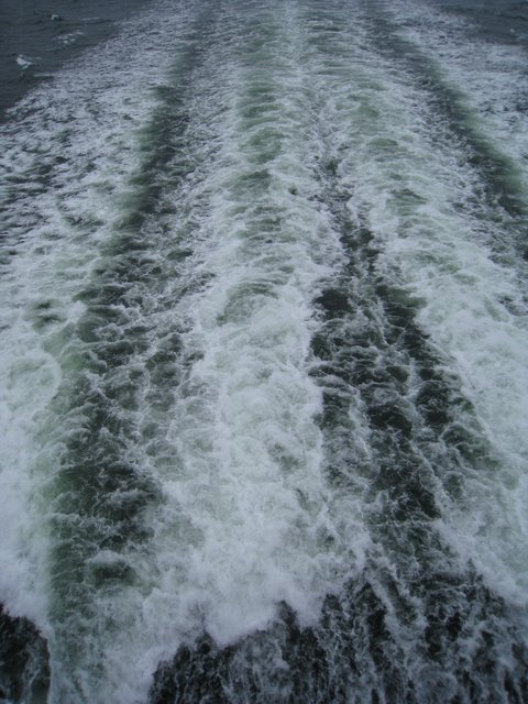 [IMG_2657-774219.JPG]