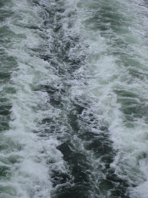 [IMG_2664-778877.JPG]