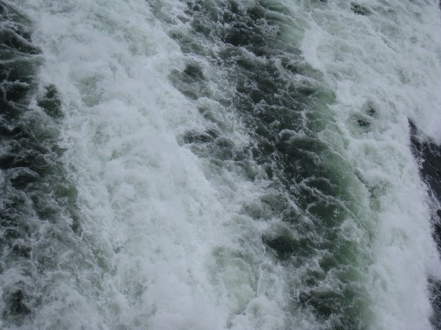[IMG_2670-783182.JPG]