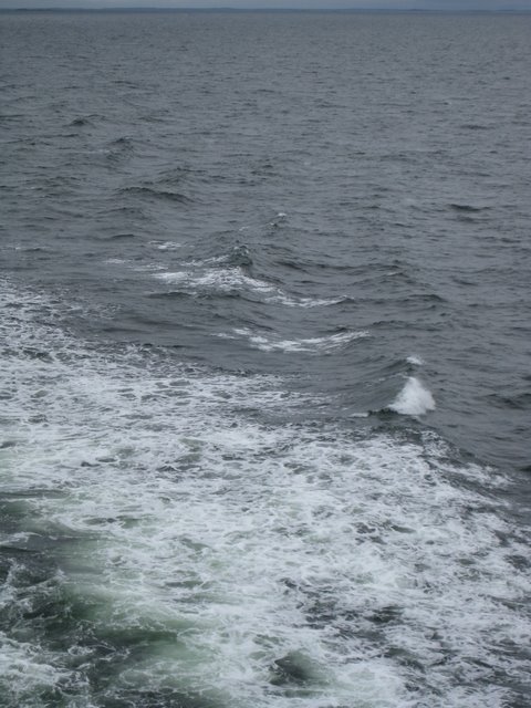 [IMG_2666-780339.JPG]