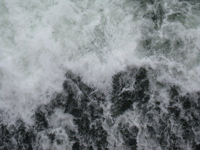[IMG_2667-781062.JPG]