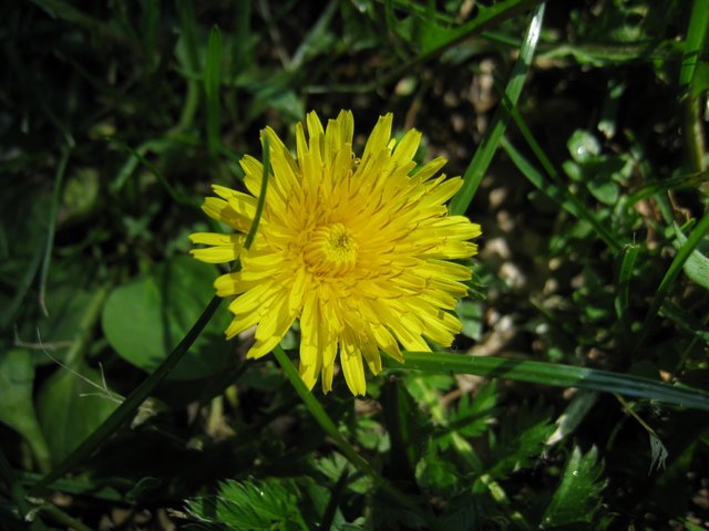 [IMG_2753-779684.JPG]