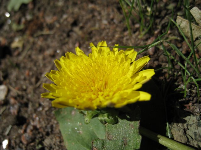 [IMG_2756-781753.JPG]