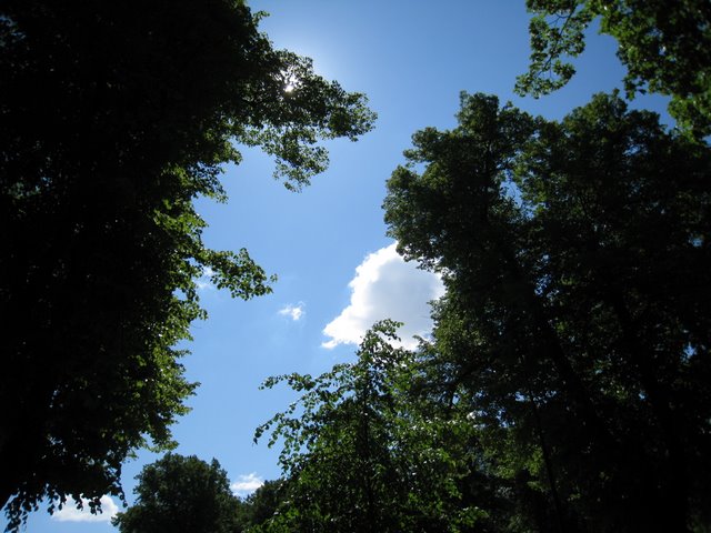 [IMG_2758-783009.JPG]