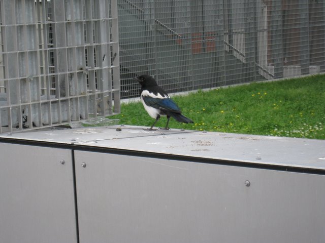 [IMG_2843-720165.JPG]