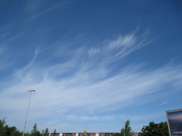 [IMG_2848-719886.JPG]