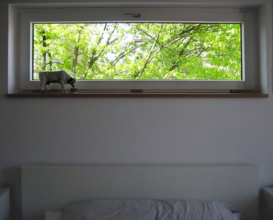 picture window in the bedroom, Erlangen, photo by Joselito Briones