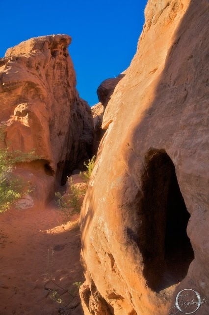 [Valley_of_Fire+71.jpg]