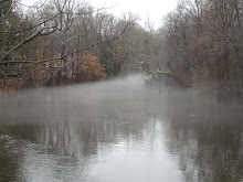 Winter Mill Pond