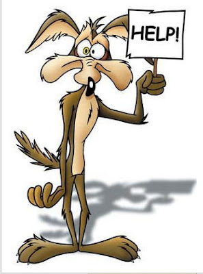 roadrunner-01.jpg