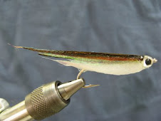 Rainbow Runner