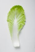 [73442106.jpg]