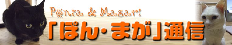 「ぽん・まが通信」