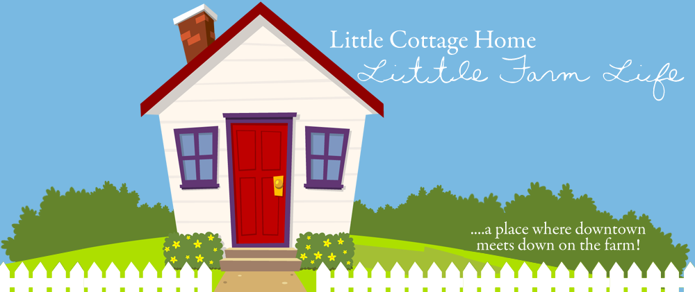 Little Cottage Home