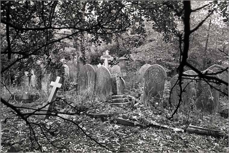 [ch876c2-highgate-cemetery.jpg]