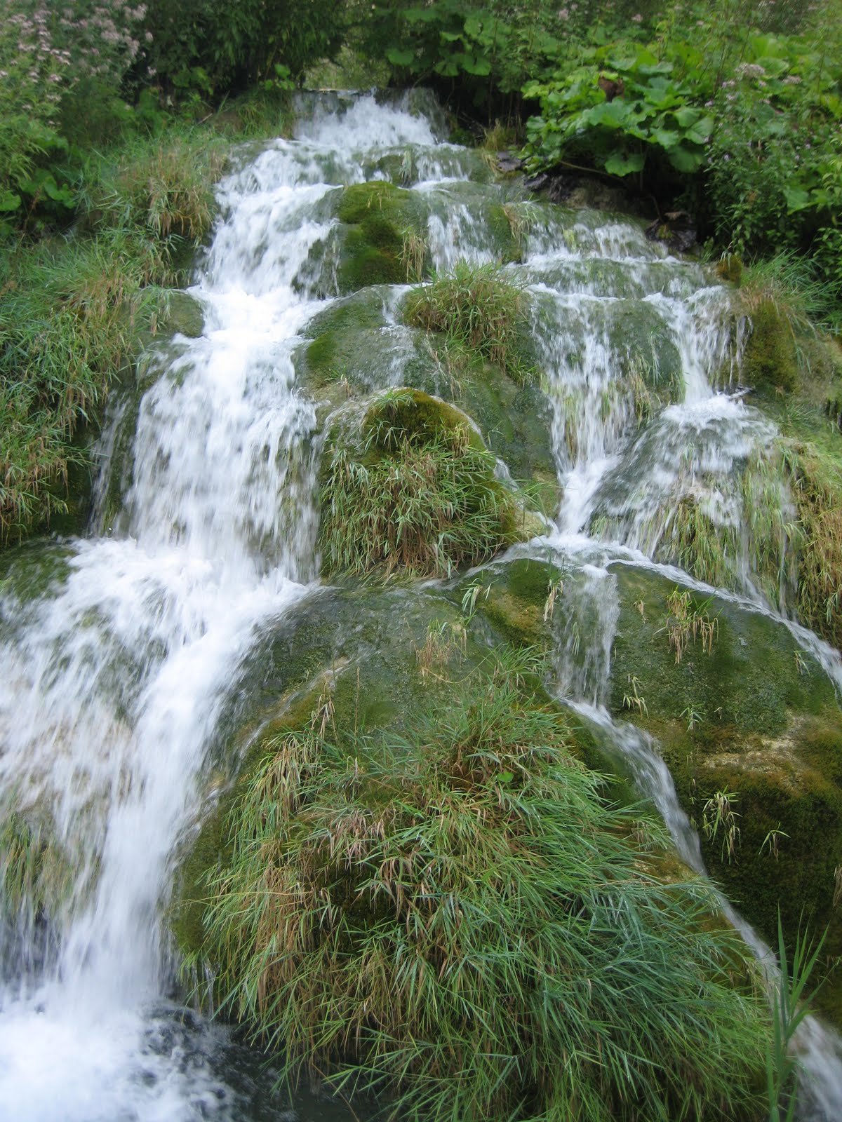 [IMG_3898.JPG]