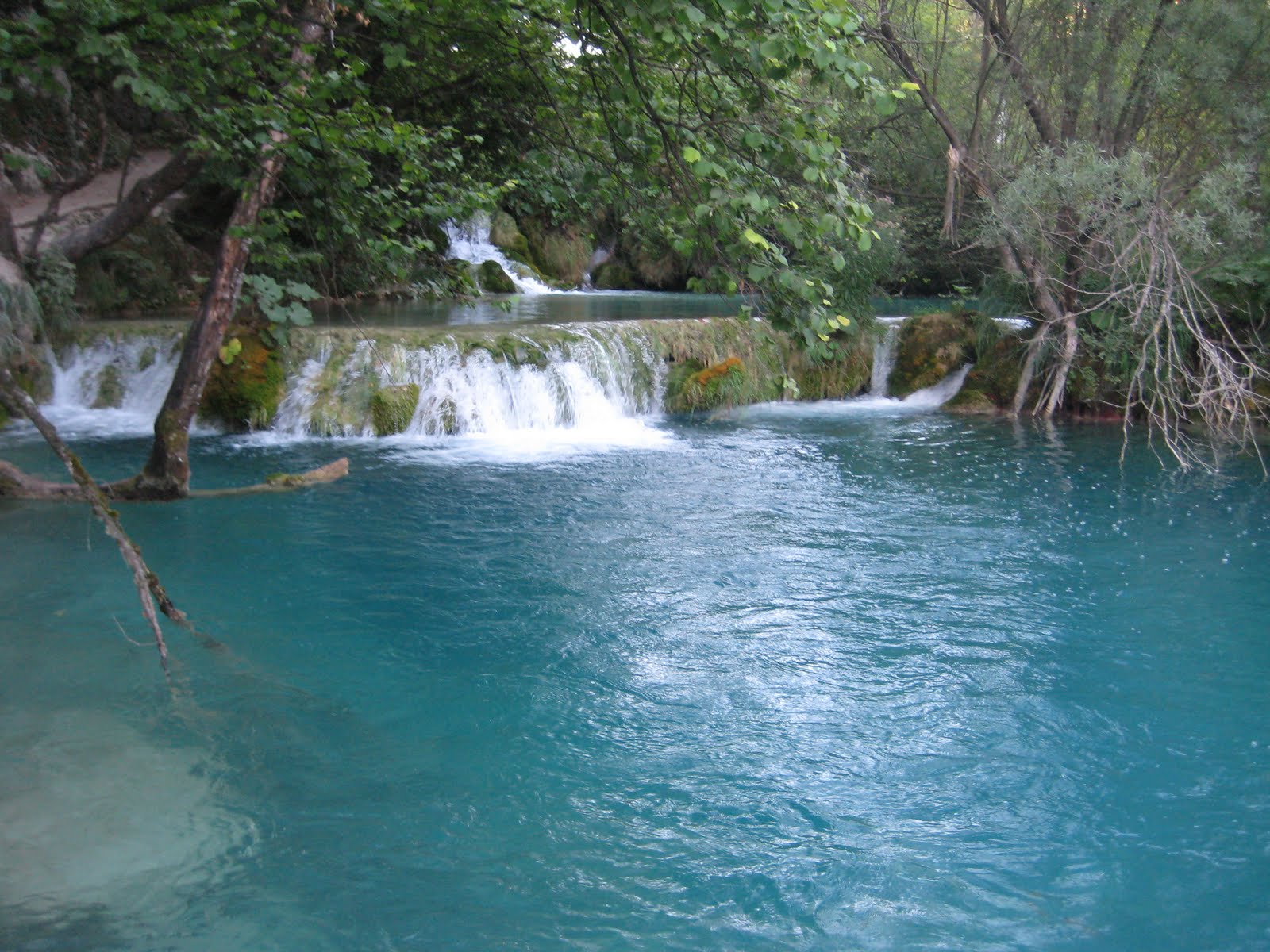 [IMG_3903.JPG]
