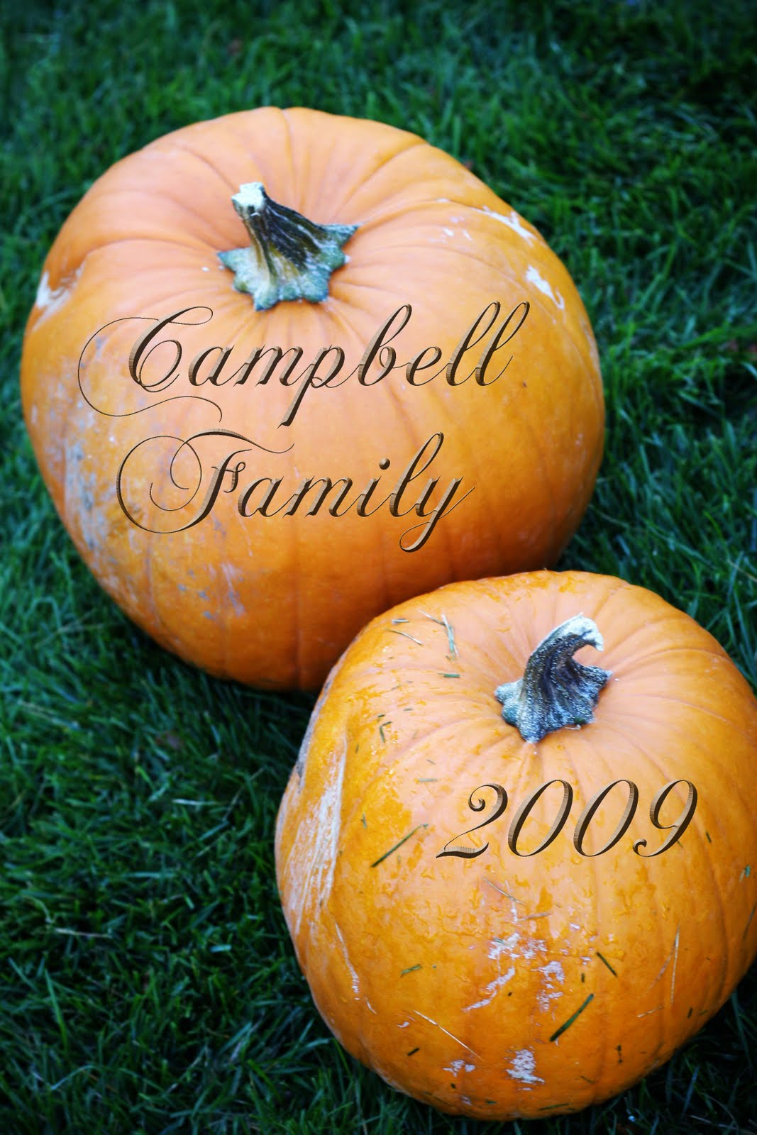 [Campbell+Family+Pictures+003.jpg]