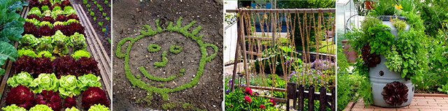 Gartenblog GeniesserGarten Gemüsegarten im Februar