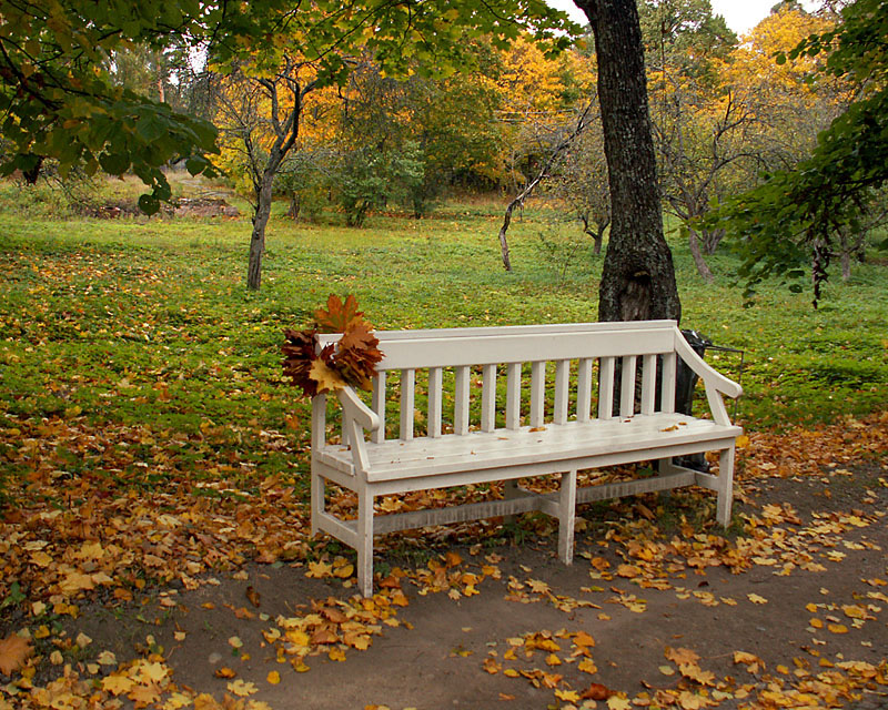 под одним из кленов стояла ветхая скамья. осенний сад. осенний парк. под одним из кленов стояла ветхая скамья. под одним из кленов стояла ветхая скамья.