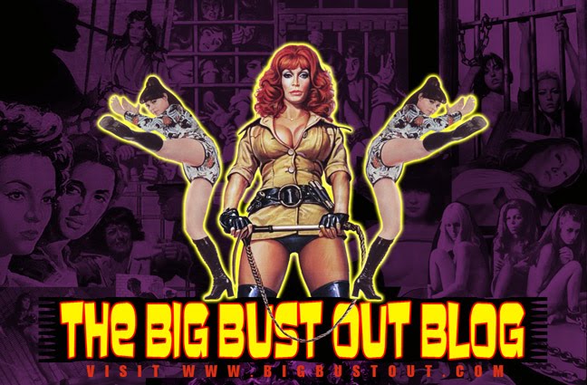 The Big Bust Out Blog