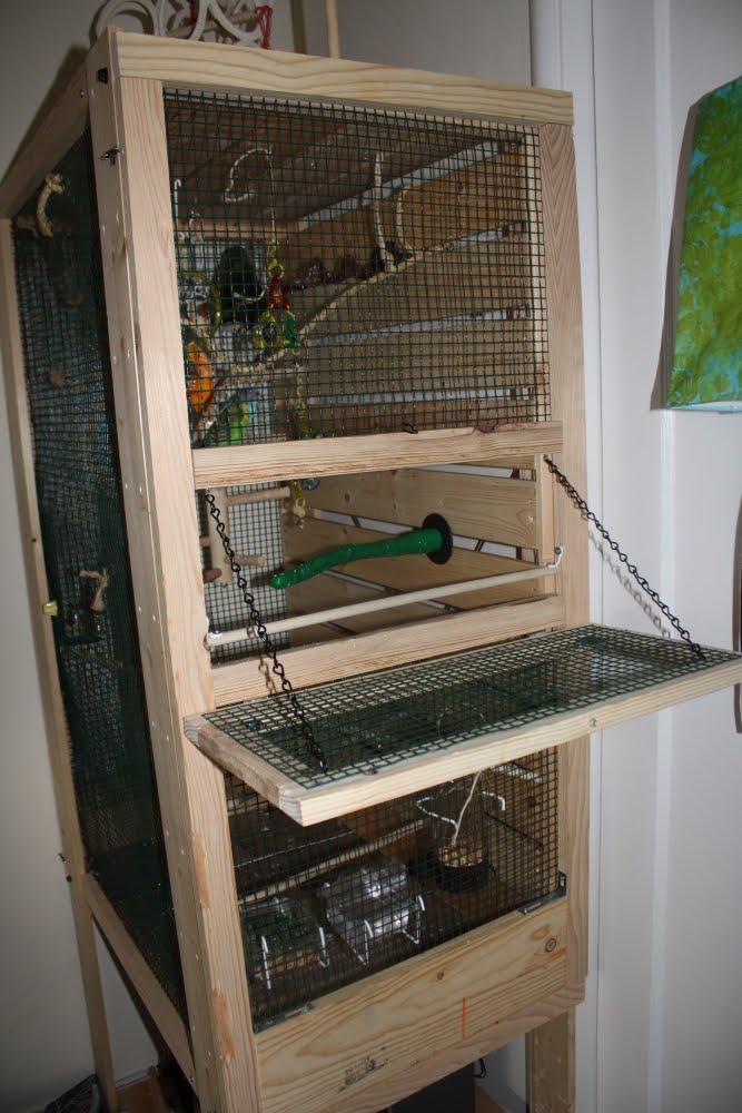 [newbirdhabitat3-747401.JPG]