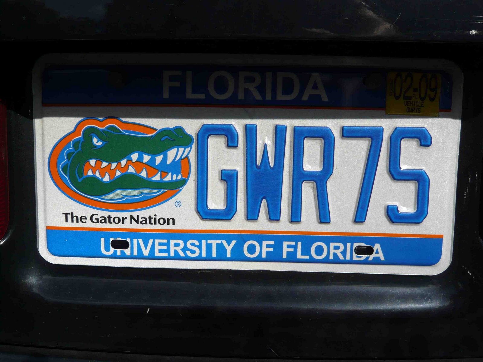 [Florida+gator+nation.jpg]