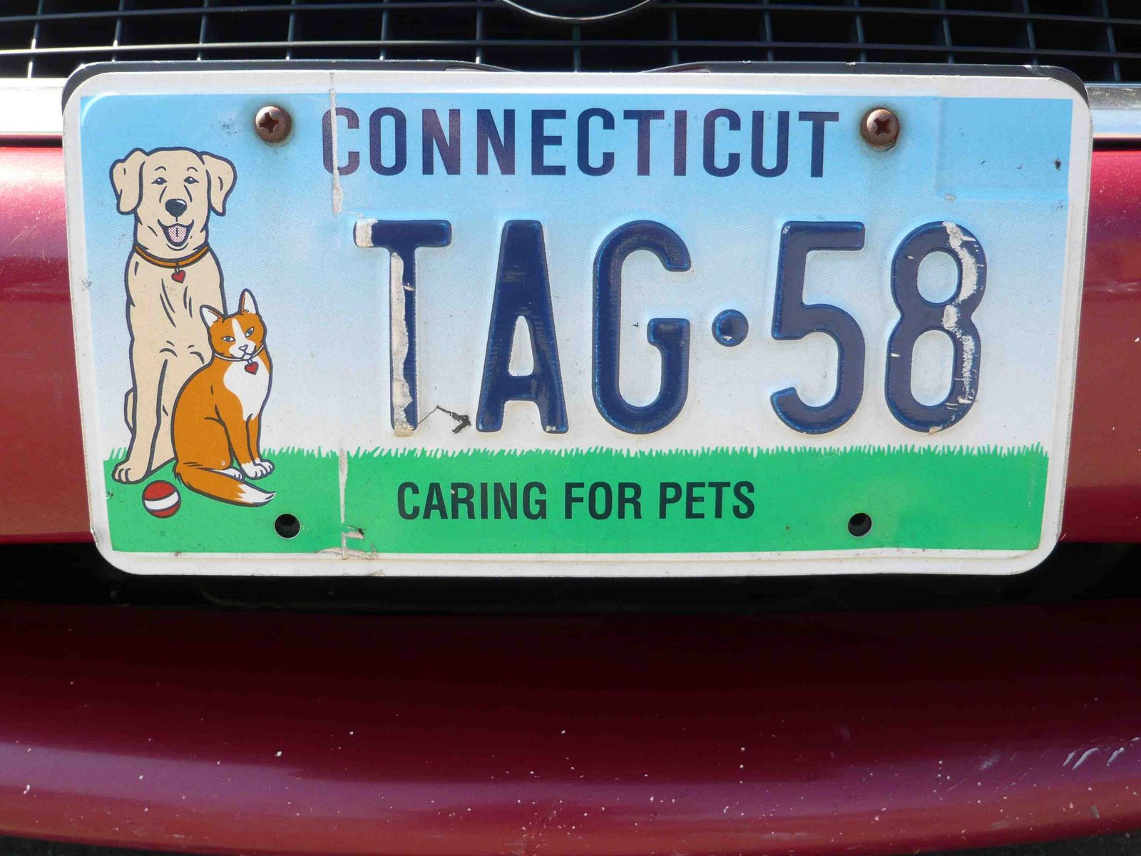 [Connecticut+pets.jpg]