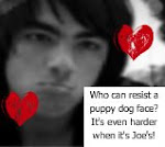 Joe's Puppy Dog Face:D