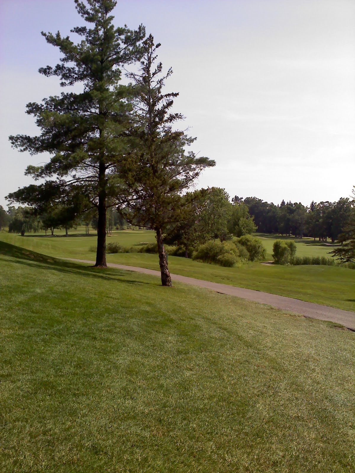 Women who Golf The Emerald, St. Johns, MI