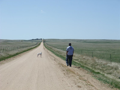 lonley road, dog, walk, dirt road lonley road, dog, walk, dirt road