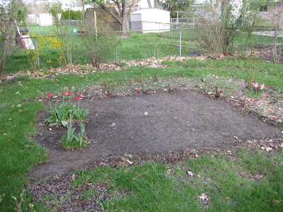 how to start a backyard garden, digging up grass, sod