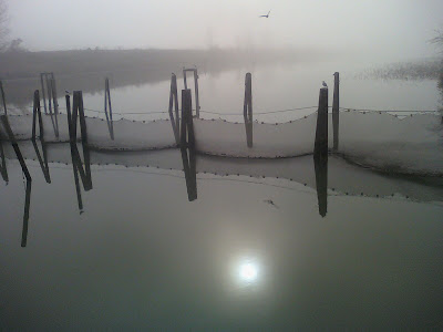 fish nets, power plant, fog, ce plant, lake erie