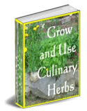 Grow and Use Culinary Herbs