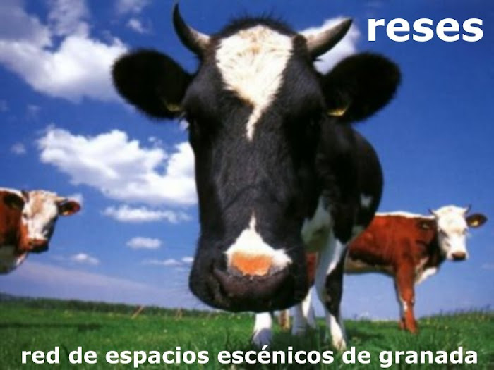 reses