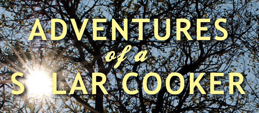 Adventures of a solar cooker