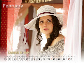 New Year 2011 Calendar, Katrina Lookalike Zarine Khan Desktop Wallpapers