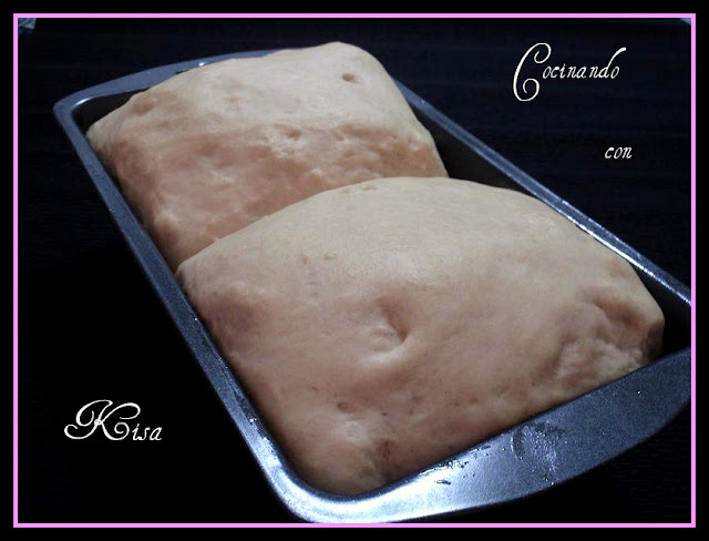  Pan de Molde (chef o matic y horno tradicional) 
