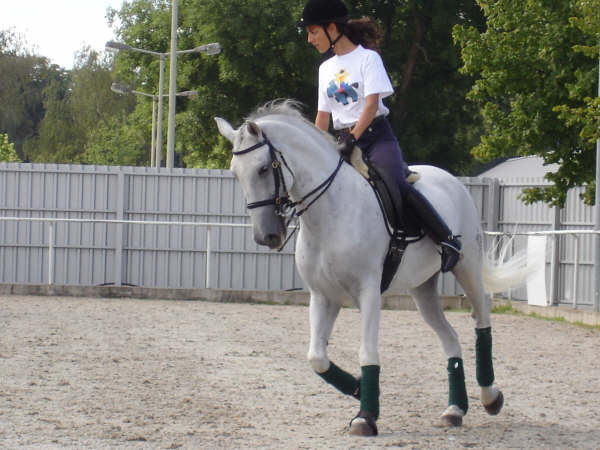 [Sara+Duarte+-+Estágio+Alemanha+(4).JPG]