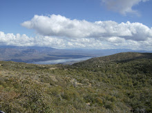 "Roosevelt Lake"