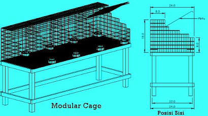 Modular Cage Plan