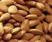 [leb-i+derya+badem.jpg]