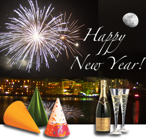 [fireworkshappynewyear.jpg]